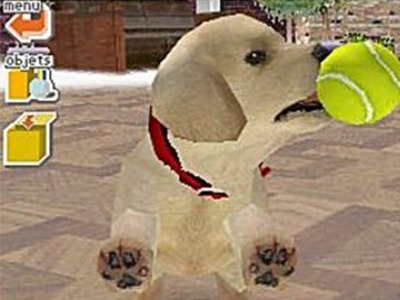 Nintendogs - Labrador & Friends - Nintendo DS