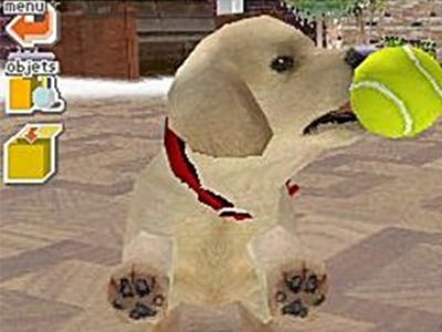 Nintendo DS Screenshot Nintendogs: Labrador & Friends