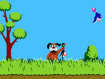 Nintendo NES Screenshot Duck Hunt